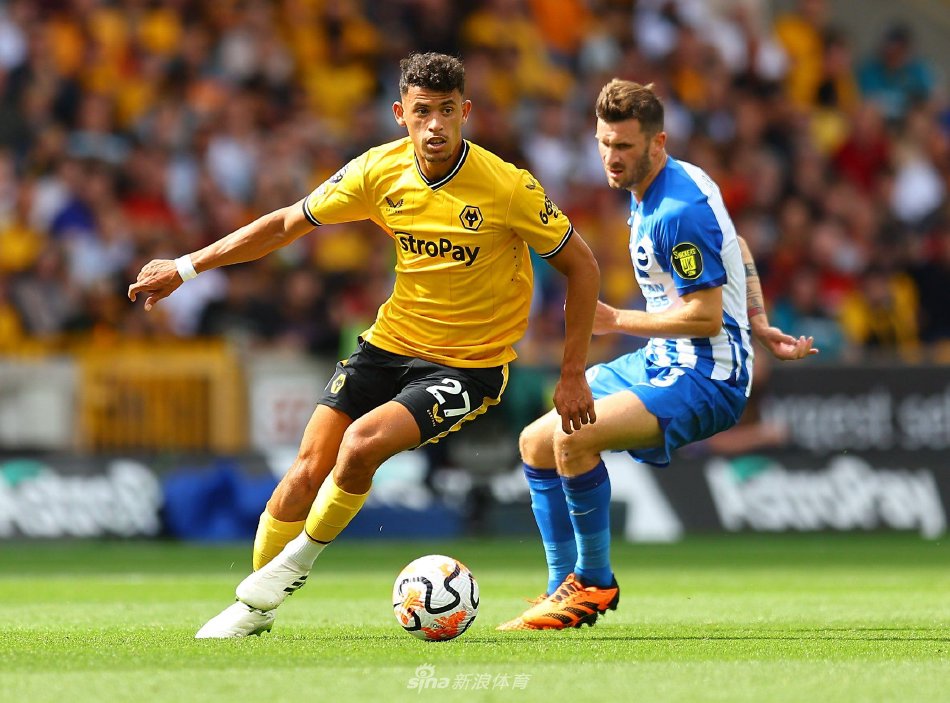 情较为复杂 情较为复杂